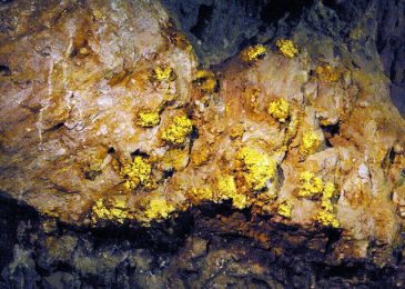 Top 10 Mỏ Vàng Lớn Nhất Thế Giới hiện nay 2023
